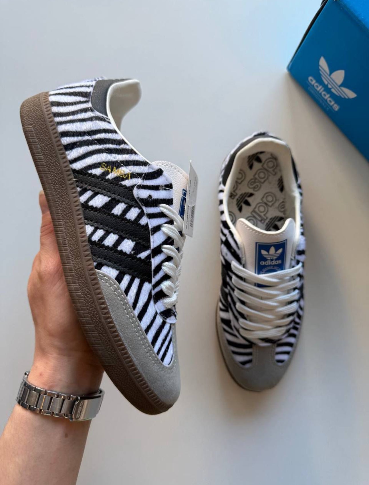 Samba zebra