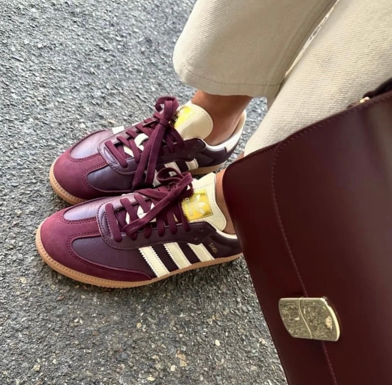 Samba bordeaux