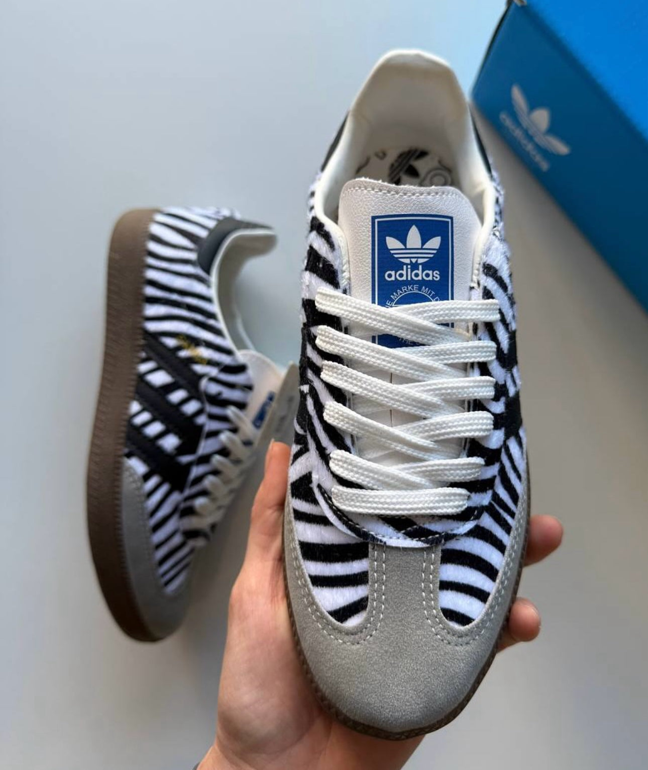 Samba zebra