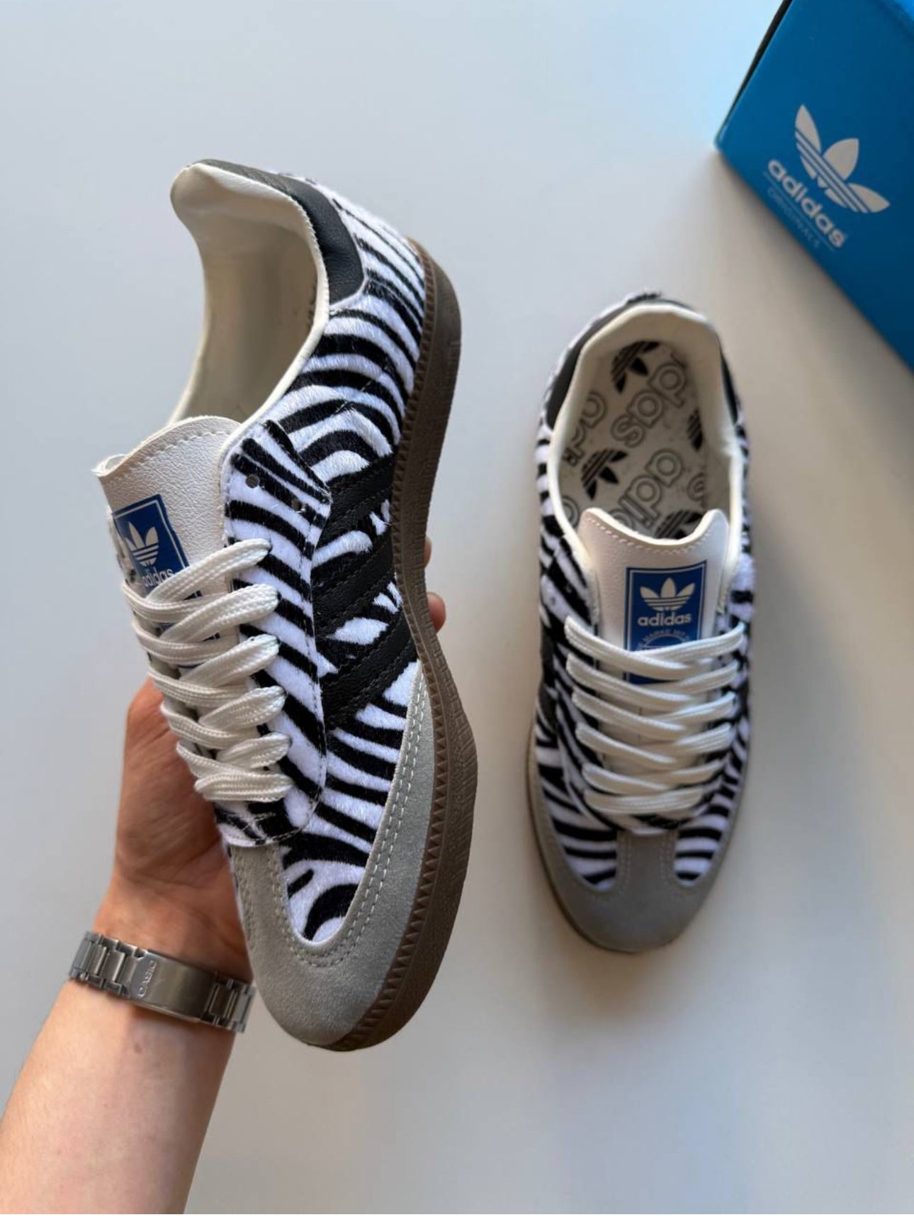 Samba zebra
