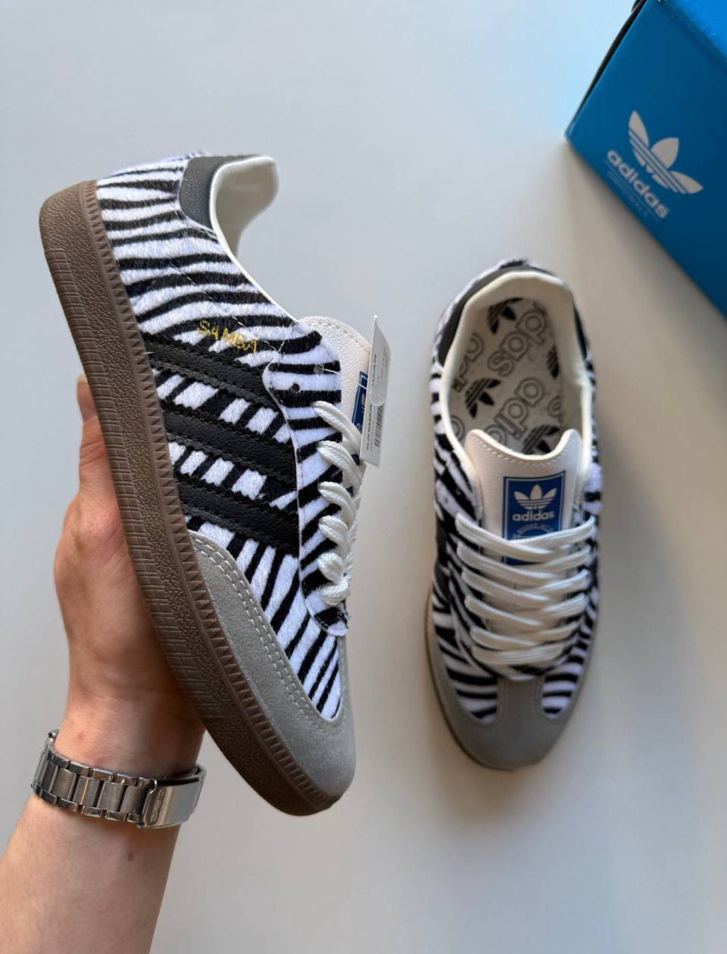 Samba zebra