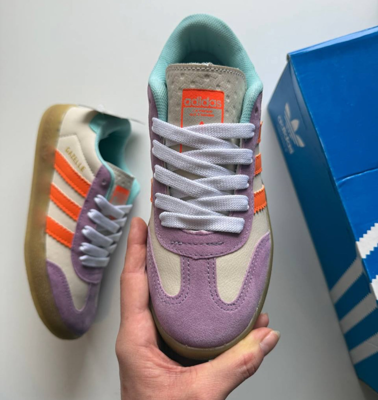 Gazelle special edition
