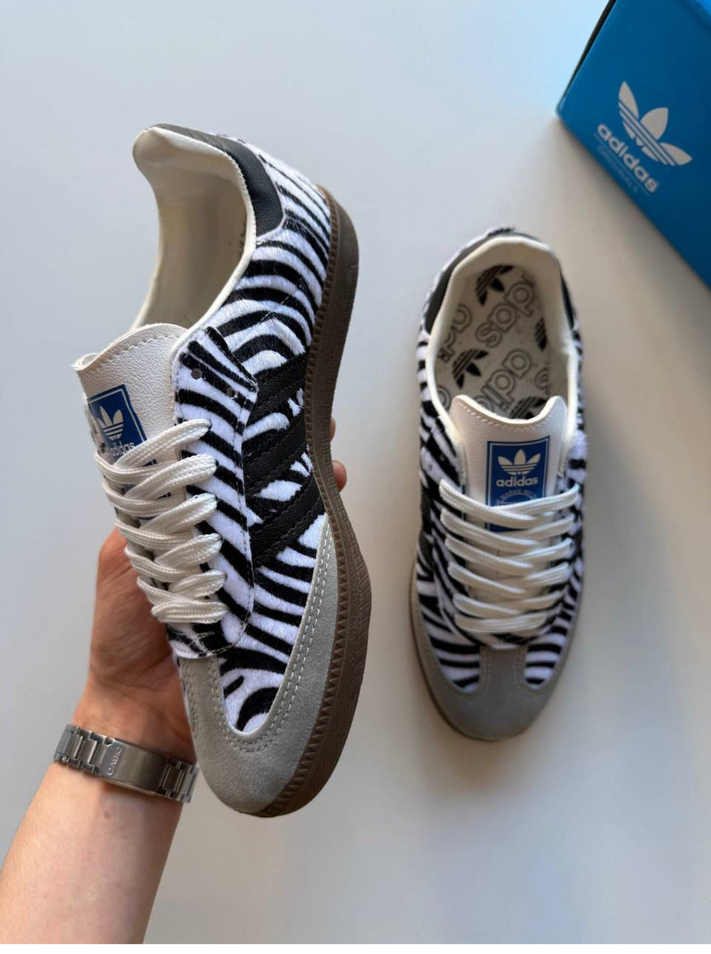Samba zebra